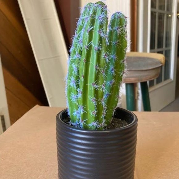 NEW! Hilton Carter Faux Cactus Multi-Stem Plant in Ribbed Black Pot - Picture 2 of 2